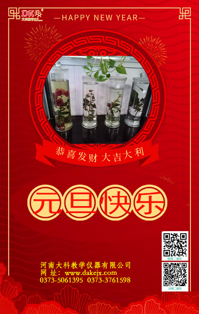 元旦快樂(lè)