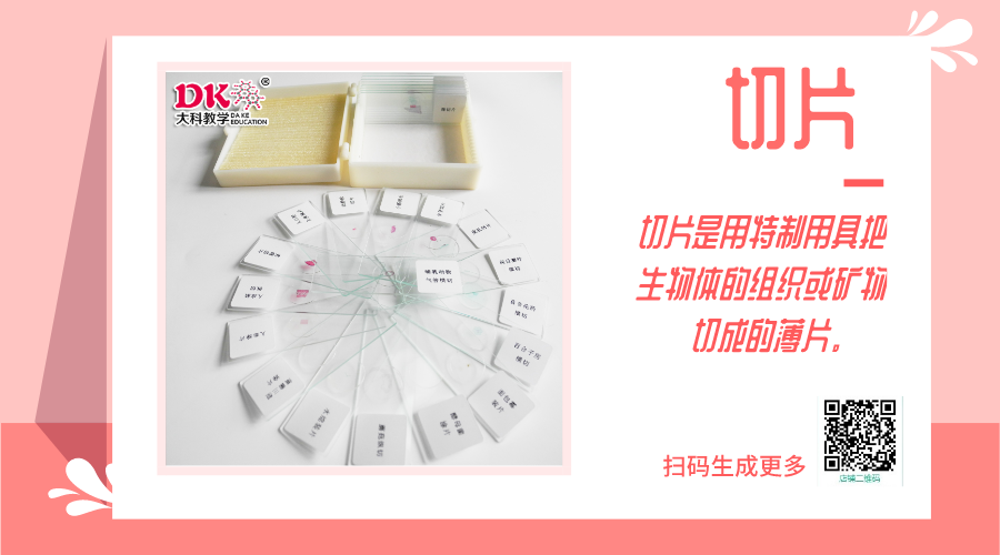 病理切片的制作過(guò)程