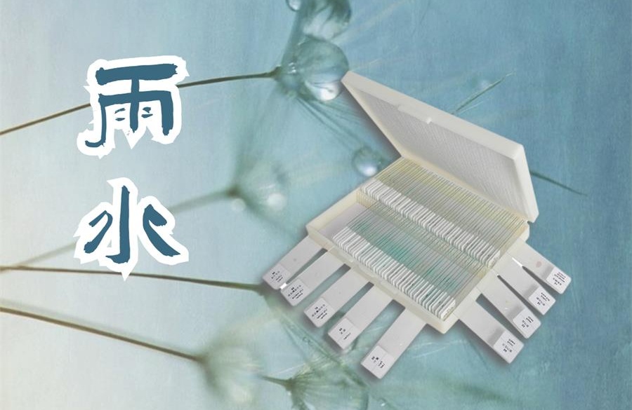 雨水，乍暖還寒