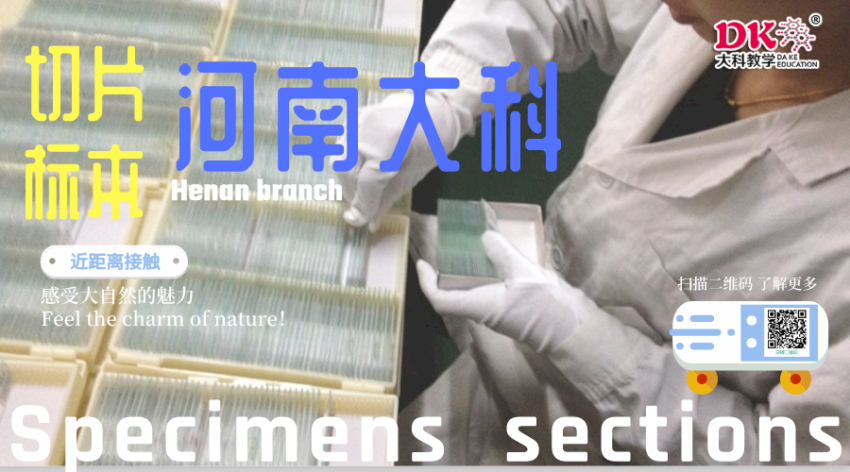 默認(rèn)標(biāo)題_橫版海報(bào)_2020-07-15-0
